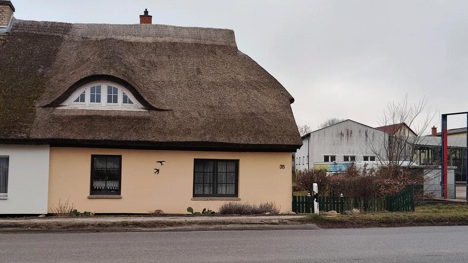 Doppelhaushälfte Putbus - 149.999&euro; | Angebot:27023204