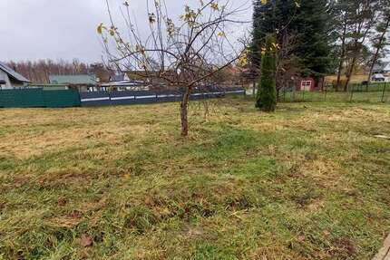 Grundstück Bergen OT Tilzow Tilzow - 94.900&euro; | Angebot:24709206