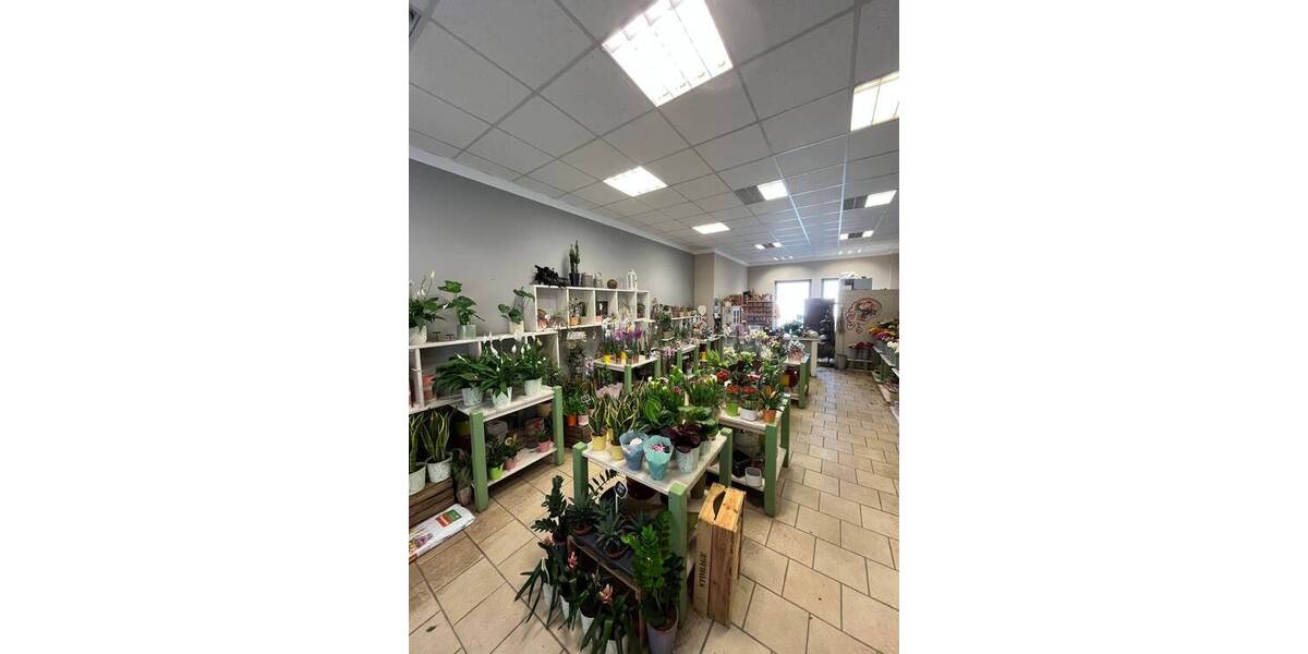 Gewerbeobjekt Stralsund Altstadt - 2 Zimmer, 1.290&euro; | Angebot:25733237