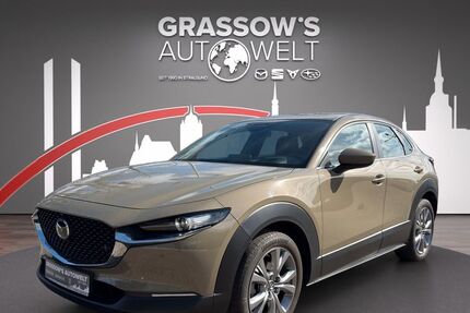 Mazda CX-30 10.500 km 26.990 &euro; Stralsund-Langendorf 18442
