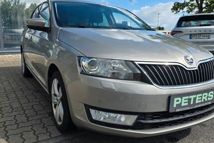 Skoda Rapid 110.115 km 10.660 &euro; Barth 18356