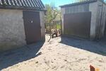 Reihenhaus Gingst - 2 Zimmer, 100 m&sup2;, 200.000&euro; | Angebot:26921184