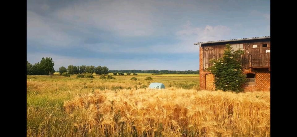 Etagenwohnung Barth - 5 Zimmer, 130 m&sup2;, 975&euro; | Angebot:25377784