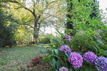 Grundstück Velgast - 59.900&euro; | Angebot:26119244