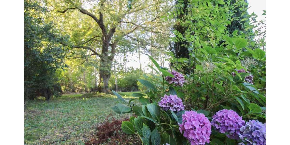 Grundstück Velgast - 59.900&euro; | Angebot:26119244