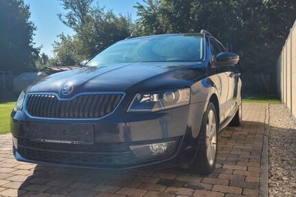 Skoda Octavia 170.063 km 8.990 &euro; Barth 18356