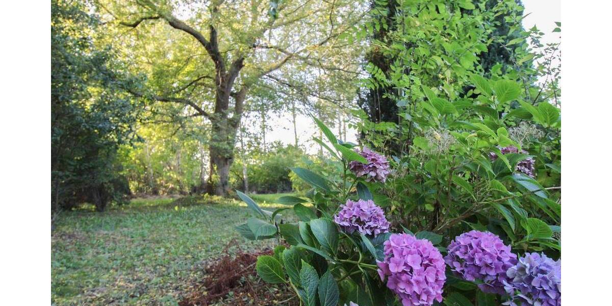 Grundstück Velgast Bussin - 59.900&euro; | Angebot:26028348