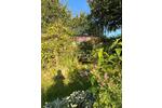 Einfamilienhaus Stralsund - 2 Zimmer, 30 m&sup2; | Angebot:26431391