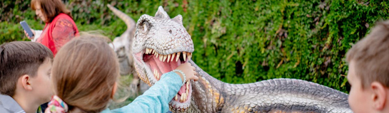Dinosaurierland Rügen Glowe Ostsee Dinos