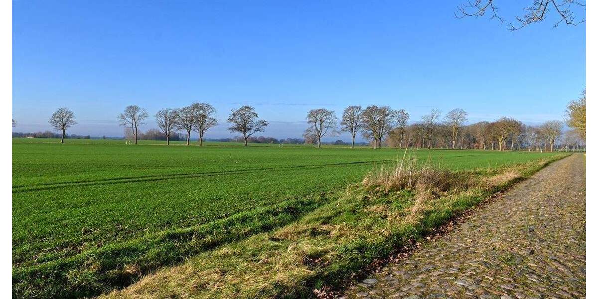 Einfamilienhaus Sundhagen Groß Behnkenhagen - 3 Zimmer, 74 m&sup2;, 145.000&euro; | Angebot:25728884