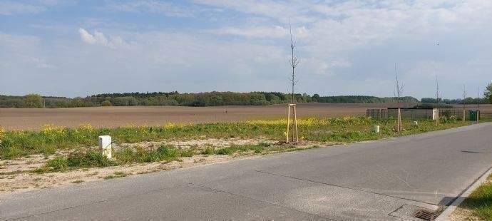 Grundstück Velgast - 66.690&euro; | Angebot:25815232