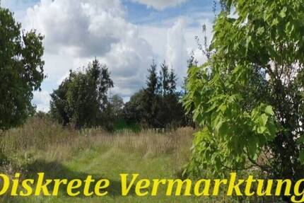 Haus Barth Siedlung - 6 Zimmer, 136 m&sup2;, 545.000&euro; | Angebot:25678453