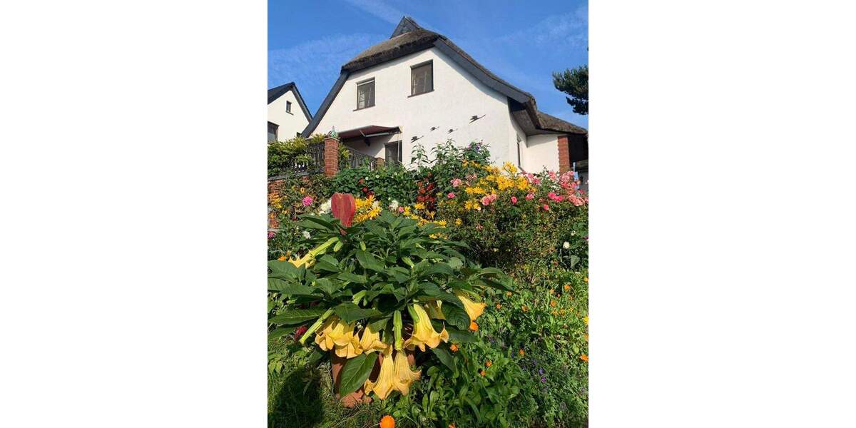 Einfamilienhaus Insel Hiddensee / Kloster Kloster, Hiddensee - 8 Zimmer, 160 m&sup2;, 890.000&euro; | Angebot:25665091