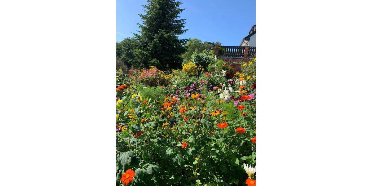 Einfamilienhaus Insel Hiddensee / Kloster Kloster, Hiddensee - 8 Zimmer, 160 m&sup2;, 890.000&euro; | Angebot:25665091