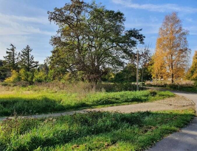 Einfamilienhaus Sundhagen Bremerhagen - 4 Zimmer, 121 m&sup2;, 321.400&euro; | Angebot:25676952