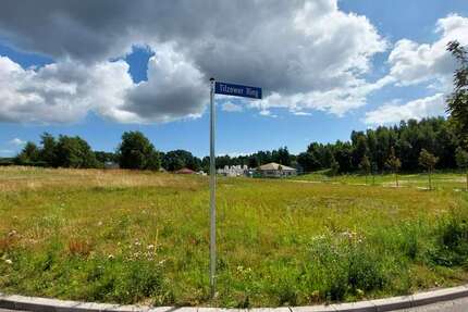 Grundstück Bergen OT Tilzow Tilzow - 110.900&euro; | Angebot:22638229