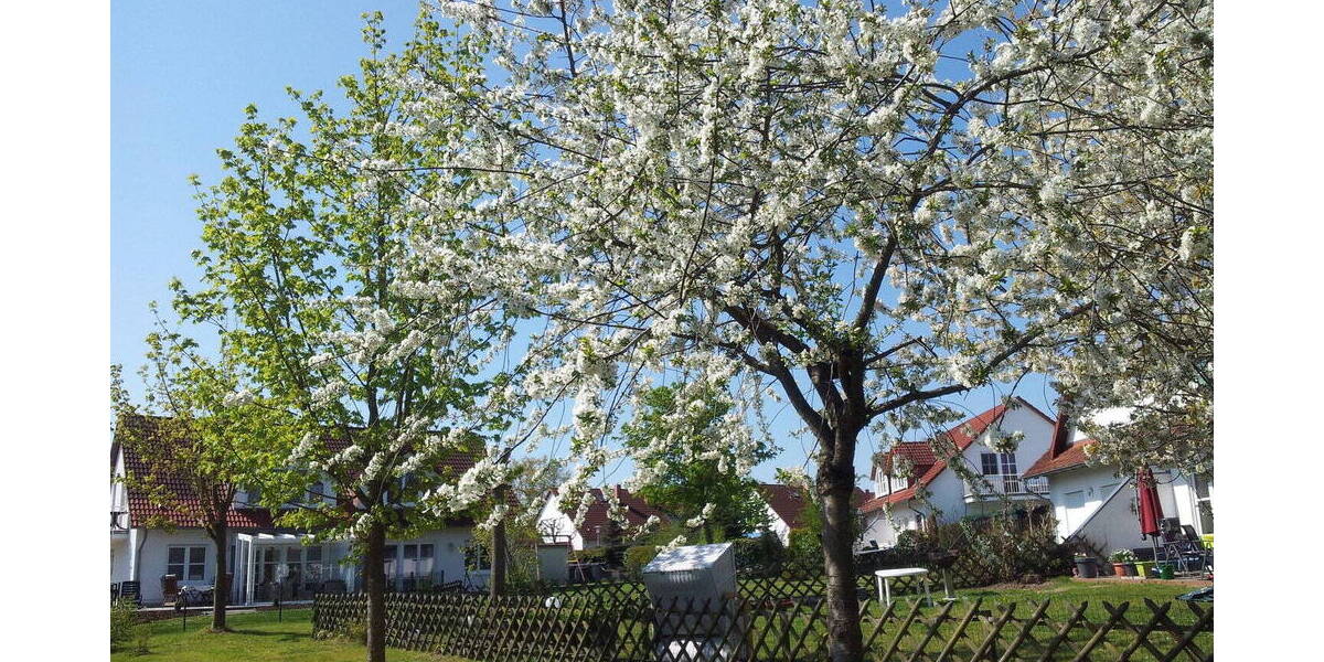 Doppelhaushälfte Garz/Rügen Losentitz - 5 Zimmer, 120 m&sup2;, 298.000&euro; | Angebot:25970034