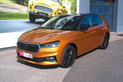 Skoda Fabia 14.600 km 18.000 &euro; Grimmen 18507