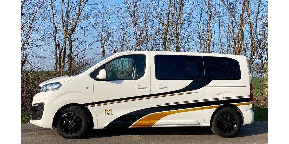 Opel Vivaro 87.500 km 20.700 &euro; Zingst 18374