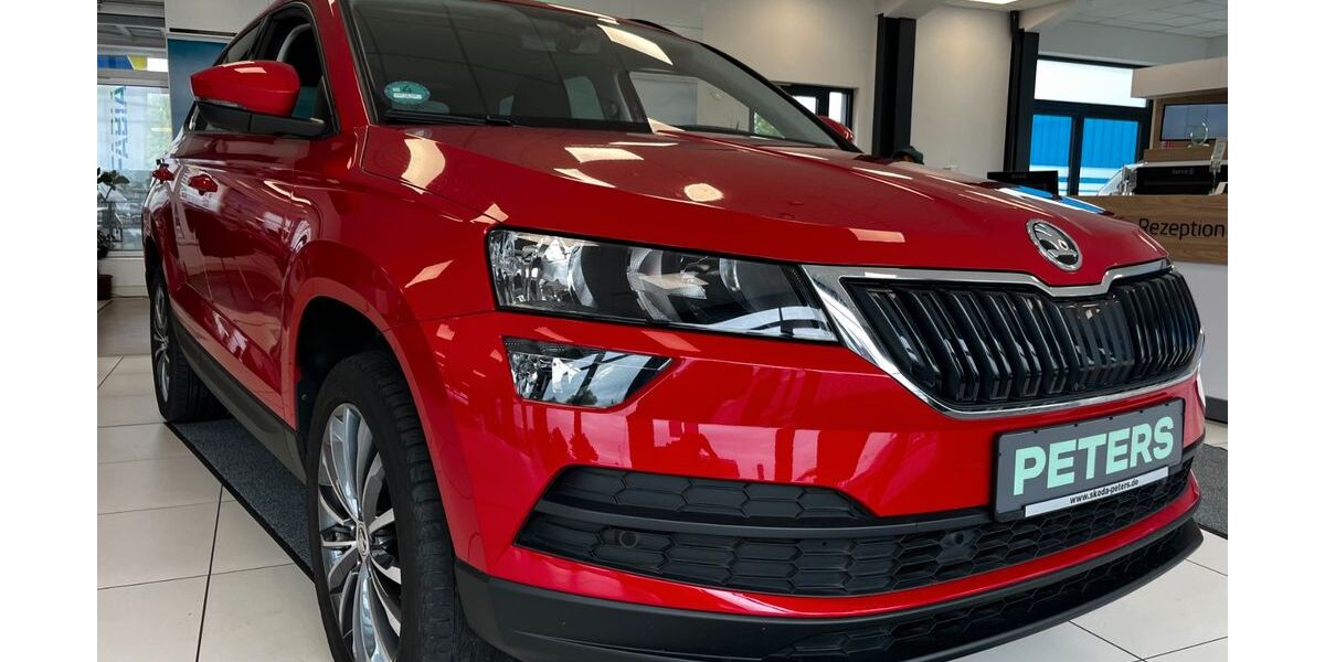Skoda Karoq 69.990 km 21.190 &euro; Barth 18356