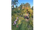 Bungalow Stralsund Langendorfer Berg - 2.5 Zimmer, 30 m&sup2;, 13.000&euro; | Angebot:26960559