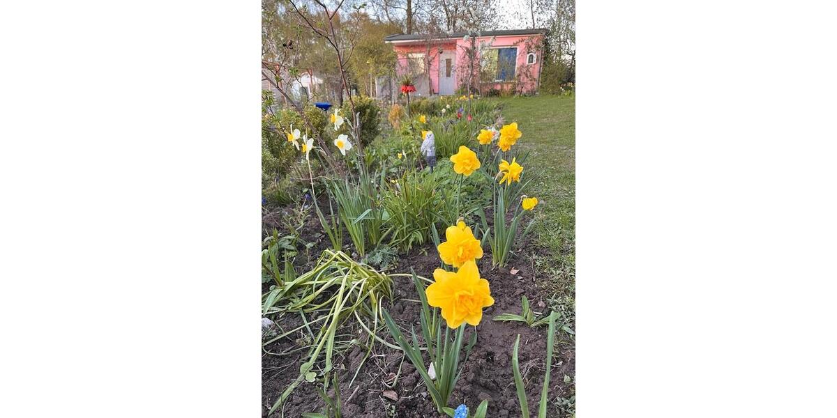 Einfamilienhaus Stralsund - 2 Zimmer, 30 m&sup2; | Angebot:26431391