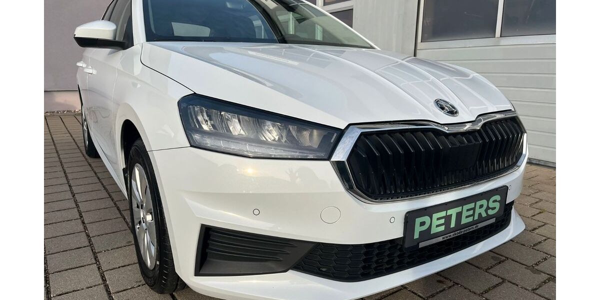 Skoda Fabia 30.350 km 19.130 &euro; Barth 18356