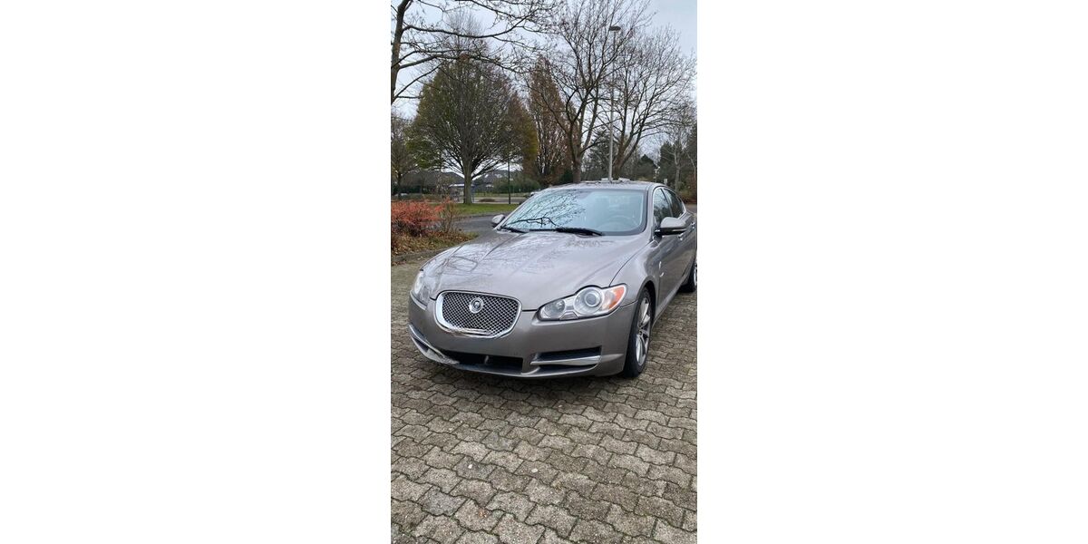 Jaguar XF 211.000 km 9.000 &euro; Splietsdorf 18513