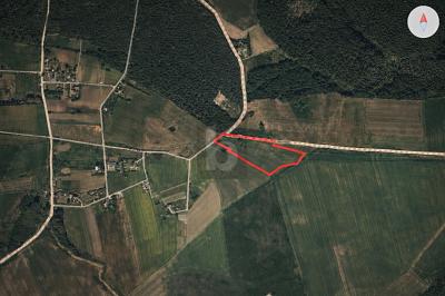 GROßZÜGIGE GRÜNLANDFLÄCHE - Grundstück Dreschvitz | Angebot:25970944