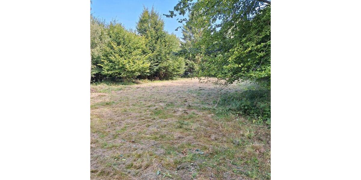 Doppelhaushälfte Putbus - 4 Zimmer, 90 m&sup2;, 320.000&euro; | Angebot:26447300