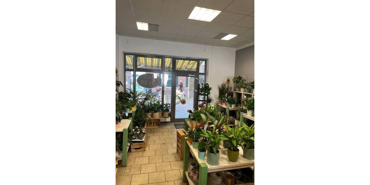 Gewerbeobjekt Stralsund Altstadt - 2 Zimmer, 1.290&euro; | Angebot:25733237