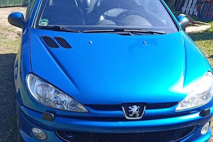 Peugeot 206 132.840 km 4.000 &euro; Trent 18569