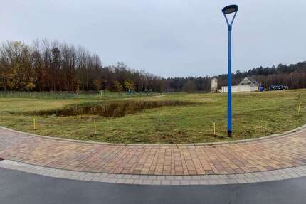 Grundstück Bergen OT Tilzow Tilzow - 89.500&euro; | Angebot:23832912