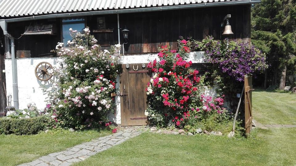 Bauernhaus, Landhaus Steinhagen - 6 Zimmer, 140 m&sup2;, 375.000&euro; | Angebot:26421657