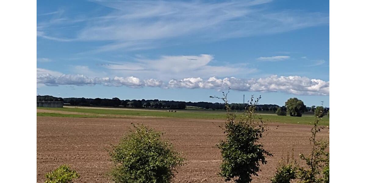 Bungalow Süderholz - 3 Zimmer, 89 m&sup2;, 339.900&euro; | Angebot:25978228