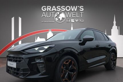 Cupra Terramar 2.600 km 41.490 &euro; Stralsund-Langendorf 18442