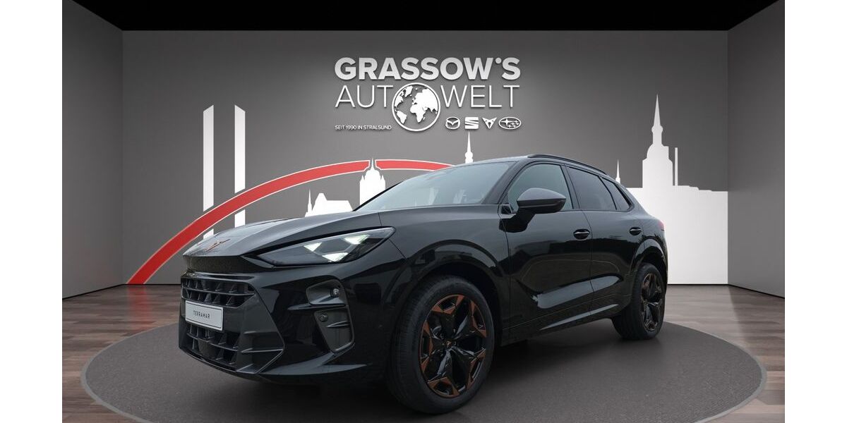 Cupra Terramar 2.600 km 41.490 &euro; Stralsund-Langendorf 18442