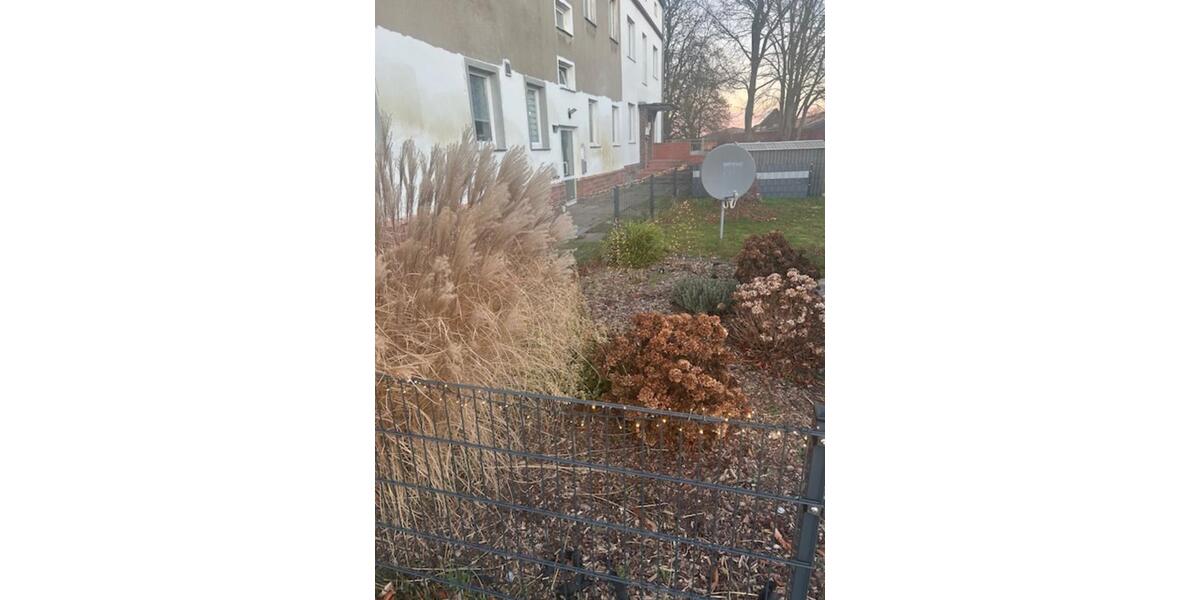 Etagenwohnung Garz/Rügen Rügen - 3 Zimmer, 58 m&sup2;, 459&euro; | Angebot:25838645