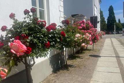 Wohnung Putbus - 3 Zimmer, 111 m&sup2;, 900.720&euro; | Angebot:19894543