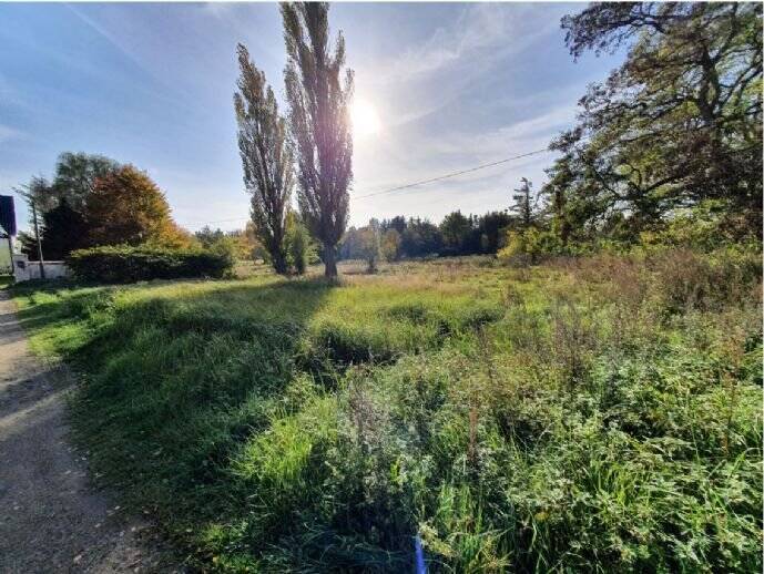 Einfamilienhaus Sundhagen Bremerhagen - 4 Zimmer, 121 m&sup2;, 321.400&euro; | Angebot:25676952