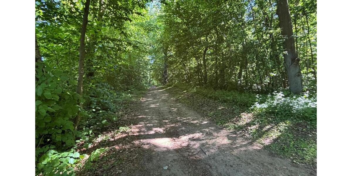 Terrassenwohnung Stralsund - 3.5 Zimmer, 63 m&sup2;, 1.128&euro; | Angebot:25633090