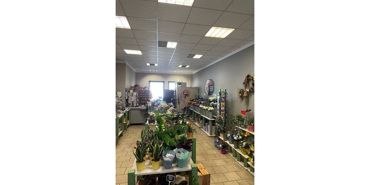 Gewerbeobjekt Stralsund Altstadt - 2 Zimmer, 1.290&euro; | Angebot:25733237