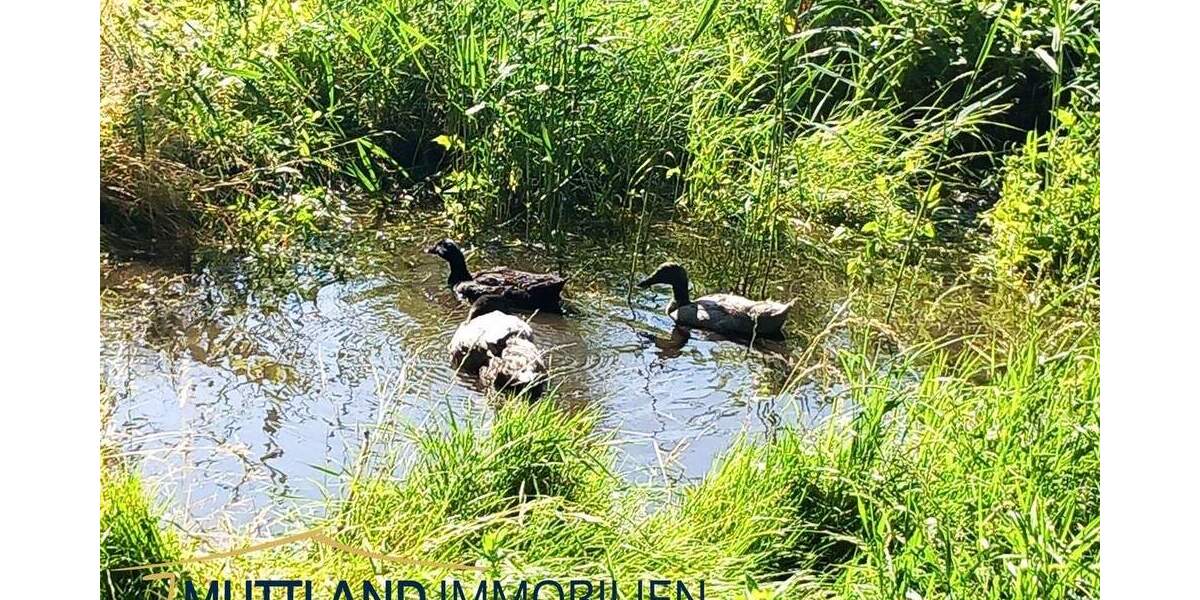 Mehrfamilienhaus, Wohnhaus Neuenkirchen - 9 Zimmer, 430 m&sup2;, 1.156.000&euro; | Angebot:25666287