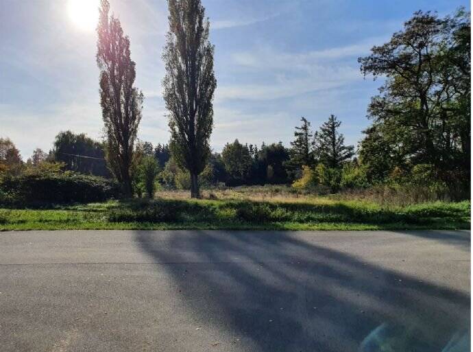 Einfamilienhaus Sundhagen Bremerhagen - 4 Zimmer, 121 m&sup2;, 321.400&euro; | Angebot:25676952