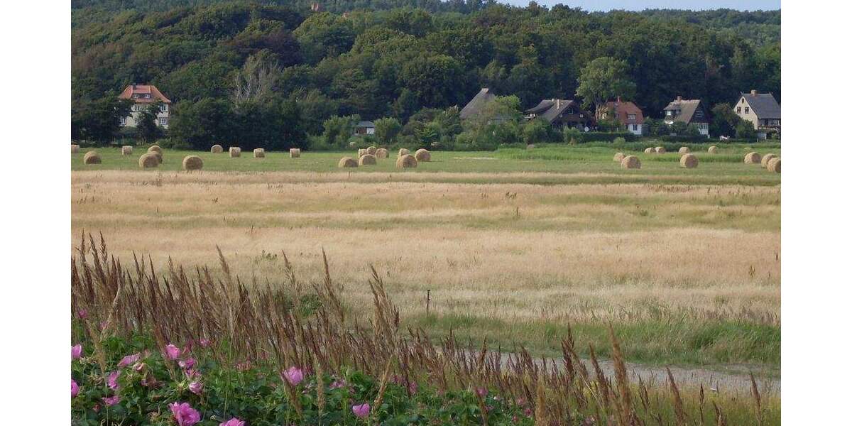 Einfamilienhaus Insel Hiddensee / Kloster Kloster, Hiddensee - 8 Zimmer, 160 m&sup2;, 890.000&euro; | Angebot:25665091