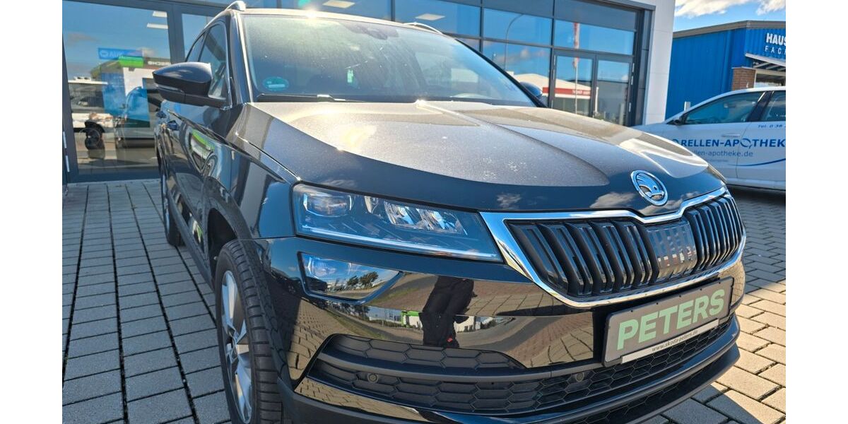 Skoda Karoq 42.250 km 28.520 &euro; Barth 18356