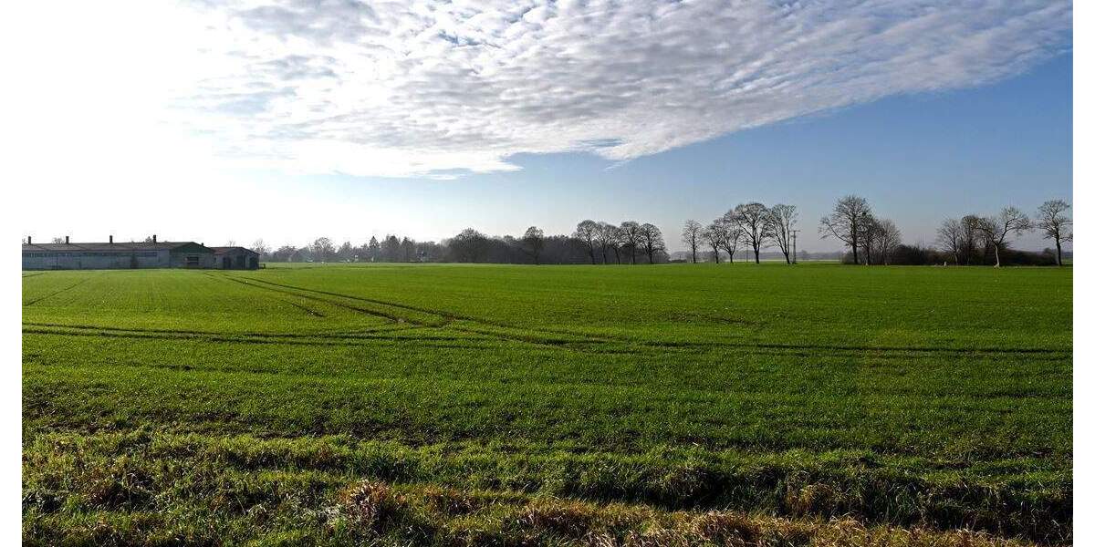 Einfamilienhaus Sundhagen Groß Behnkenhagen - 3 Zimmer, 74 m&sup2;, 145.000&euro; | Angebot:25728884