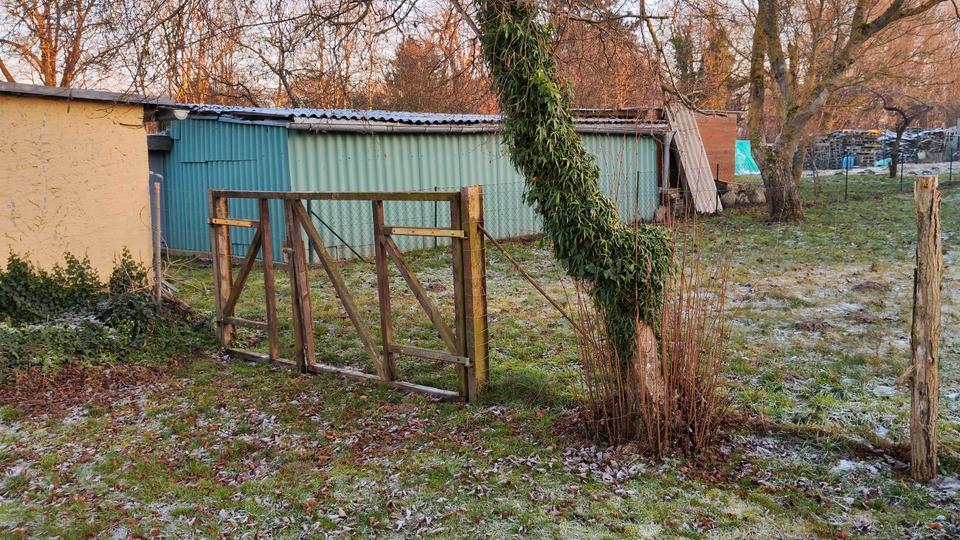 Doppelhaushälfte Putbus - 175.000&euro; | Angebot:25780472