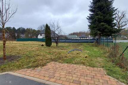 Grundstück Bergen OT Tilzow Tilzow - 97.800&euro; | Angebot:24709204