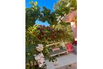 Bungalow Stralsund Langendorfer Berg - 2.5 Zimmer, 30 m&sup2;, 13.000&euro; | Angebot:26960559